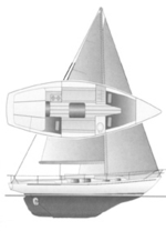 Trintella 29